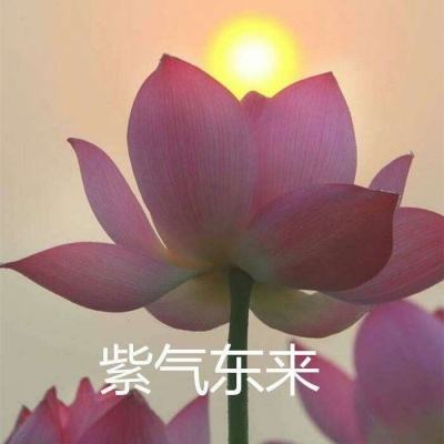 魔神手游小米版下载