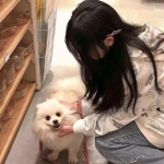 大话伏妖百度手游(暂未上线)v1.0 安卓版